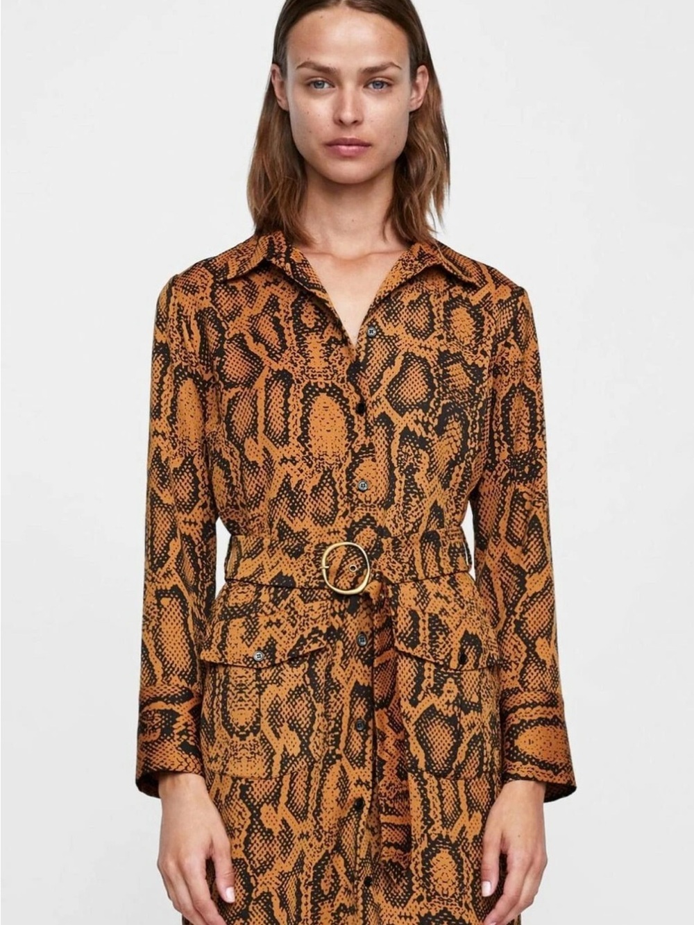 Zara Woman Animal-Print Shirt Dress in Tan and Black